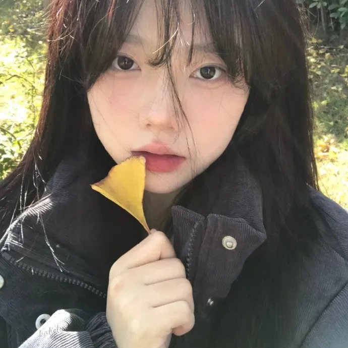 村路弯弯